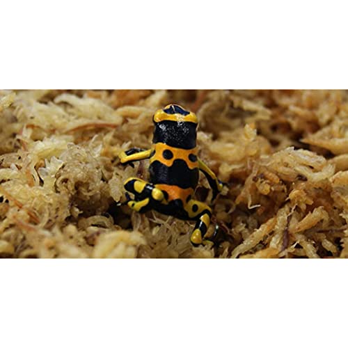 Sphagnum Moss Dried Spagnum Dry Moss for Reptiles Bedding and Terrarium Pet Supplies 150g9999Sphagnum Dried Dry for Reptiles Reptile Spagnum for Plants