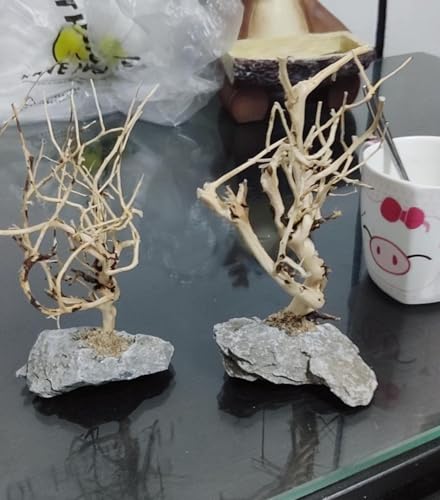 YZHZOM 2pcs Small Bonsai Aquarium Tree,4-6inch,Handmade Aquarium Bonsai Tree Aquarium Decor Tree