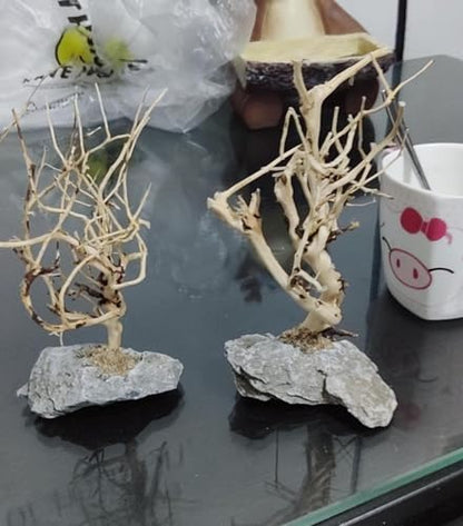 YZHZOM 2pcs Small Bonsai Aquarium Tree,4-6inch,Handmade Aquarium Bonsai Tree Aquarium Decor Tree