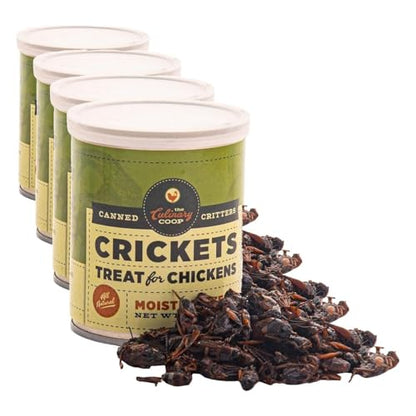 Fluker's Culinary Coop Canned Crickets Chicken Treat, All Natural and Packed with Protein, 2.75 oz (Pack of 4) - size: 2.75 Ounce (Pack of 4)