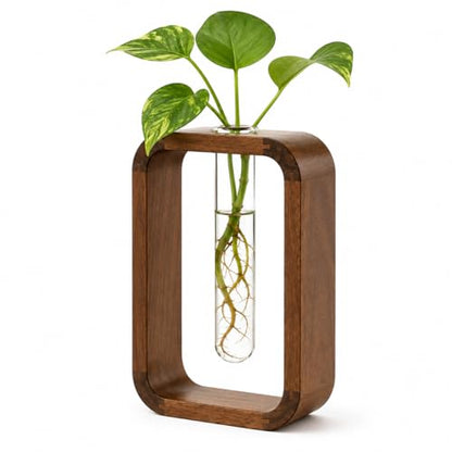 Modern Wooden Frame Glass Vase Hydroponic Planter – Minimalist Square Propagation Station with Test Tube Vase – Indoor Plant Terrarium for Flower, Cuttings & Home Office Decor