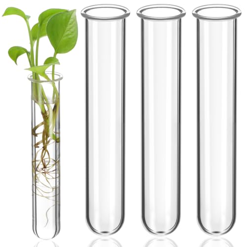 4Pcs Hydroponic Glass Test Tube Vases for Flower Propagation Small Plant Terrarium Holders Space-Saving 5.90X1.18X1.18In Home Office Decoration