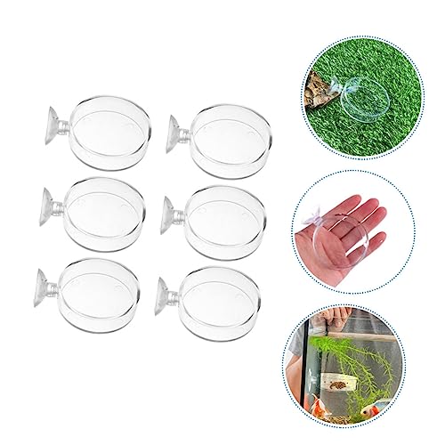 6pcs Cup Feeding Dish for Reptiles and Fish Food Trays for Aquatic Supplies Easy to Install and Clean for Freshwater Environments