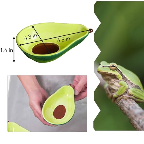 JSLZF Tree Frog Habitat Frog Water Bowl Dish Bathtub Tank Accessories Terrarium Decor Ceramic Aquarium Decoration Sturdy and Not Easy to Knock Over