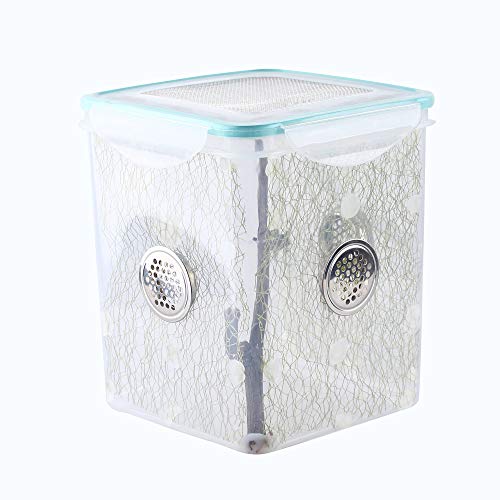 Ventilated Mantis Insect Habitat Kit, 6.2 x 6.2 x 7 in | 1.16 US Gal Bug Catcher Cage for Caterpillar, Cricket and Small Insects, Multi-Side Airflow, Animals Not Included