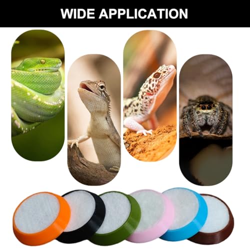 12 Pcs Hermit Crab Sponge Bowl Universal Plastic Gecko Food Dish Reptile Feeding Dish with 12 Pcs Sponges for Hermit Crab, Lizard, Small Pets(6 Colors)