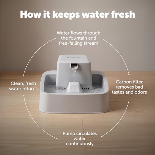 PetSafe Oasys Pet Fountain, 1/2 Gallon, Cats & Small Dogs, 4-Pack Filters | Adjustable Flow Control, Open Bowl, Whisker-Friendly Tray, Replaceable Carbon & Foam Filters Included - style: Fountain + 4-Pack Filters