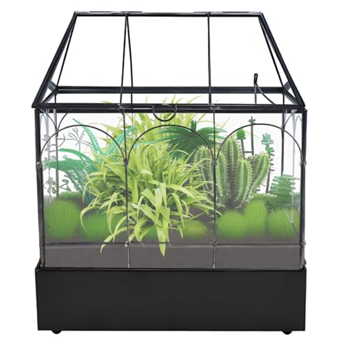 Glass Terrarium with Metal Tray, Glass Greenhouse Terrarium Kit for Succulents, Cacti, Snails, Spiders, and Miniature Reptiles, Black (Large-9.45" L x 5.7" W x 11.8" H) - size: Large-9.45"L x 5.7"W x 11.8"H