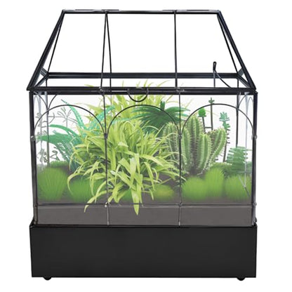 Glass Terrarium with Metal Tray, Glass Greenhouse Terrarium Kit for Succulents, Cacti, Snails, Spiders, and Miniature Reptiles, Black (Large-9.45" L x 5.7" W x 11.8" H) - size: Large-9.45"L x 5.7"W x 11.8"H