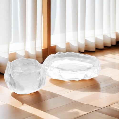 2 Pack Reptile Food Dish and Drinking Bowl Small Food Dish Terrarium Feeder for Small Reptile Lizard Gecko Spider Cricket Baby Bearded Dragon Hermit Crab Snail Turtle