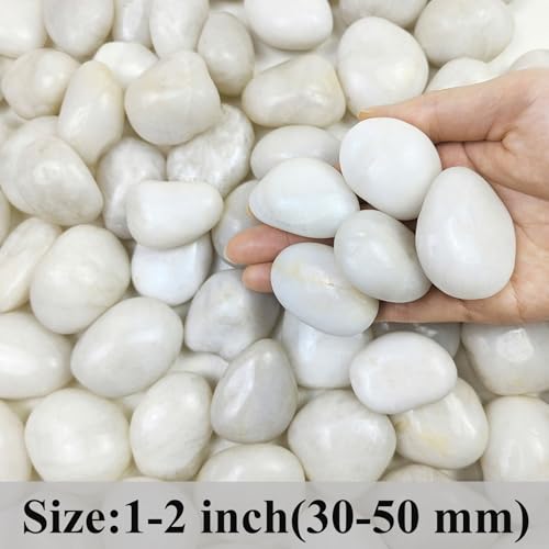 FANTIAN 20 lbs White River Rocks, 1-2 Inch Polished Pebbles for Indoor Plants, Decorative White Stones for Plants, Vase, Aquarium, Fish Tank, Landscaping and Garden - size: 1-2 Inch, style: 20 Pounds