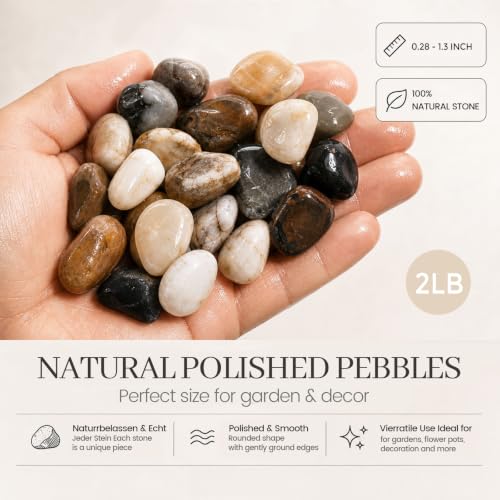 DOMESTAR River Rocks for Landscaping, 2LB Decorative Ornamental Pebbles | Garden Landscaping Stones Gravel for Vases Fish, Tank Succulent Potted Indoor Plants Crafts, Home Garden Decor