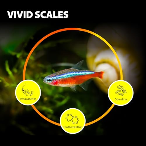 Purify Series for Tetra Fish Food | Small Tropical Sinking Pellets, Suitable for Betta, Guppy Fish, All Natural Ingredients, 2.65 oz - style: Small Tropical Fish