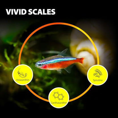 Purify Series for Tetra Fish Food | Small Tropical Sinking Pellets, Suitable for Betta, Guppy Fish, All Natural Ingredients, 2.65 oz - style: Small Tropical Fish