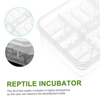 2Pcs Reptile Egg Incubation Tray Compartments Hatching Box for Lizards Tortoise and Transparent Cover for Observation Reusable Incubation Container