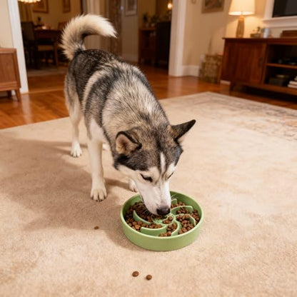 Ceramic Slow Feeder Dog Bowl, 3 Cup Dog Food or 25oz Water, Slow Eating Bowl for Middle Breed, Maze Puzzle Feeder for Fast Eaters, Anti-Choking Stop Bloat, Non-Slip BPA Free (Green) - color: Green