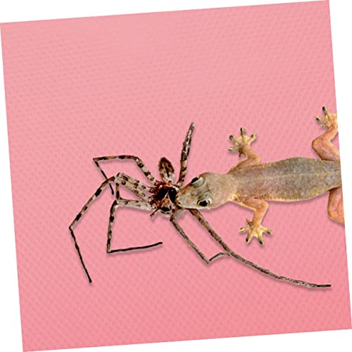 Crawling Blanket Gecko Carpet Bearded Dragon Carpet Lizard Carpet Bearded Dragon Tank Accessories Reptile cage mat Reptile Substrate mat Terrarium Carpet Pink Rug eva Glass Iguana