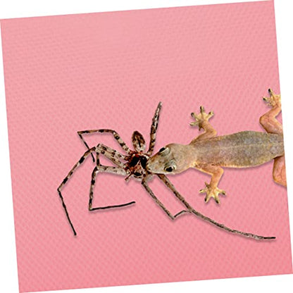 Crawling Blanket Gecko Carpet Bearded Dragon Carpet Lizard Carpet Bearded Dragon Tank Accessories Reptile cage mat Reptile Substrate mat Terrarium Carpet Pink Rug eva Glass Iguana