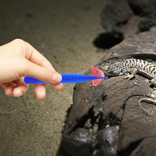 Garneck Reptile Feeding Clamp 6pcs Plastic Tweezers for Scorpion Lizard Snake Care