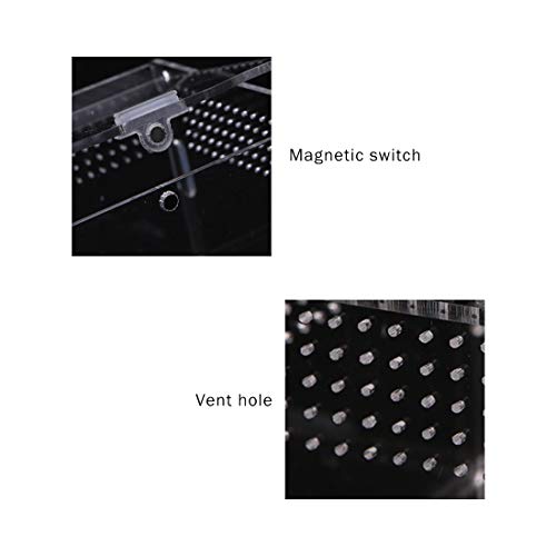 Acrylic Reptile Feeding Box,Reptile Terrarium Transparent Breeding Box Tarantula Enclosure with 2 Straight and Curved Tweezer for Pet Insect Spider Cricket Snail Hermit Crab Lizard,7.9x4.7x4.7inch