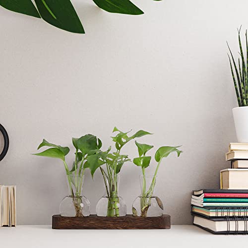 YIBOT Plant Propagation Station, Desktop Glass 3 Bulb Vase Brown Wood Tray | Planter Hoder Terrarium,Hydroponic Flower Cuttings Jars, No Assembly, Easy Water Refill, Home Office Decor, Lover Gift Idea - size: 3 Vase-T