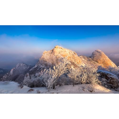 Winter Mountain Aquarium Background Foggy Snow Covered Hill Valley Landscape Pine Trees Fish Tank Background Fantastic Wintry Snowy Terrarium Backgrounds Winter Scene Reptile Tank Backgrounds 24x12in - color: Foggy Blue, size: 24(W)x12(H)inches/ 60(W)*30c