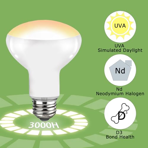 75W Daylight Reptile Heat Lamp Bulb, UVA Basking Spot Light | Provides Bright Natural Daylight, Supports Thermoregulation & Daily Activity for Reptiles, Amphibians & Terrarium Habitats - color: Basking Spot Lamp, size: 75W Upgraded - 3.1"