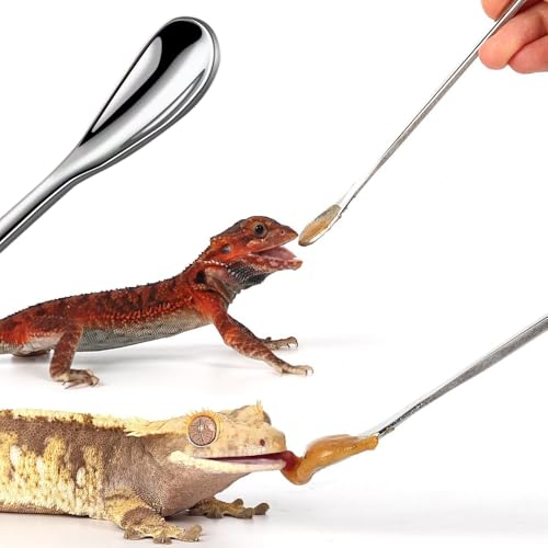 3PCS Reptile Crested Gecko Food Spoons,8.8" Stainless Steel Reptile Spoon,Fruit Mixing StirringFood Feeding Spoons Long Handle Feeding Tool Fit Gecko Lizard Gargoyle Bearded and Other Small Animals