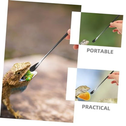 3pcs Small Reptile Feeding Spoon Lizard Food Scoop Multi-Functional Pet Spoon for Animals