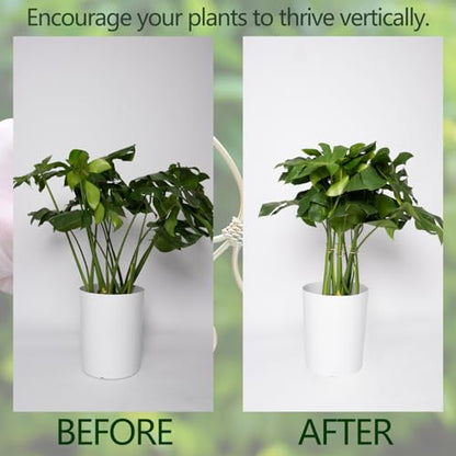 5PCS Monstera Plant Stem Support Stakes - 5.5 in Metal Supports | Monstera & Fishbone Cactus Stem Holder -Flexible Indoor Plant Support, Ideal Gardening Gifts & Accessories for Healthy Growth - size: 5.5 x 5.5 inches