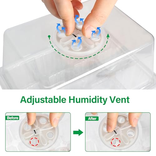 Seed Starter Trays with 12-LED Grow Lights, Clear, 5 Pack | 5 clear-base seedling kits, 60 cells, 12-LED grow light per tray, vented humidity domes, drainage holes, 1-to-5 USB cable - color: Clear, size: 5 Packs
