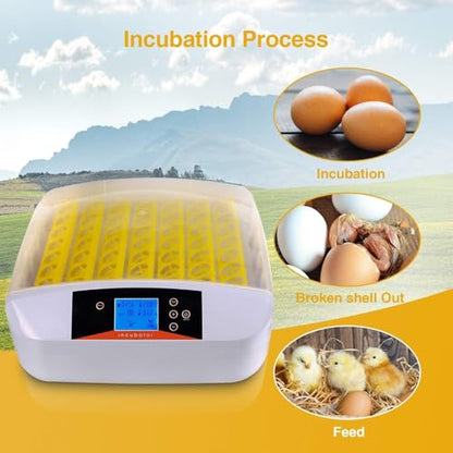 55 Egg Incubator with Auto Turner & Humidity Control 360° View | High Hatch Rate Poultry Hatcher for Chicken Duck Quail, Ideal for Farm & Home Breeding - size: 55 Egg