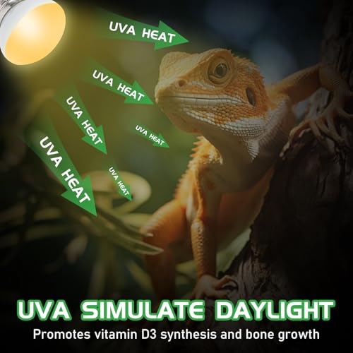 Reptile Heat Lamp Bulbs, UVA Reptile Heat Bulb 2 Pack, 25 Watt Heat Light Bulbs, Daylight Basking Spot Light for Lizard, Bearded Dragon, Snake, Gecko - color: 25*2