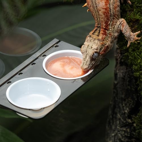 La La Pet® Magnetic Reptile Food Feeder Animal Feeder Ledge with 2 Plastic Bowls Reptile Water Bowl for Lizard Spider Crested Gecko