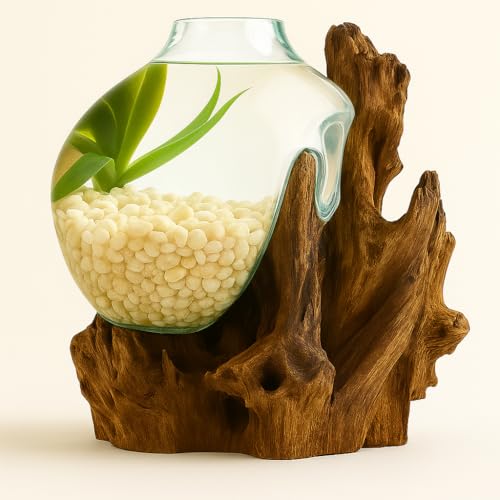 OMA Hand Blown Molten Glass on Driftwood Terrarium Vase or Planter – Recycled Glass & Natural Wood for Coastal & Boho Home Décor (12"–14" High) - size: 12" - 14" High