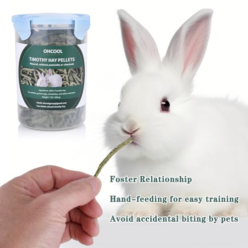 Timothy Hay Pellets, 7oz Small Pet Feed | 100% premium nutrition timothy pellets, ideal for tortoises and rabbits - size: 7 Ounce (Pack of 1)