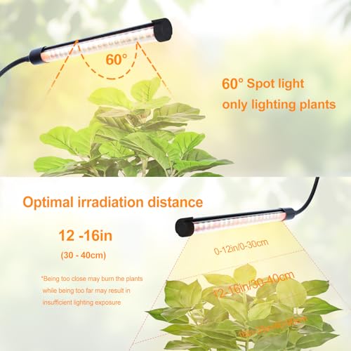 4Head Desk Grow Light, Tabletop LED Grow Lights for Indoor Plants for Bonsai, Seed Starting, Succulents, 36 Watt Power Draw, 4/8/12/16/20H Timer, 16"-24" Height Adjustable - size: 4Head Tabletop(36W)