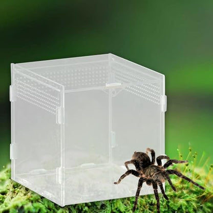 Reptile Feeding Box, Reptile Terrarium, Acrylic, Professional, Spacious Container, for Bearded Dragons, 15x15x15cm - size: 15x15x15cm