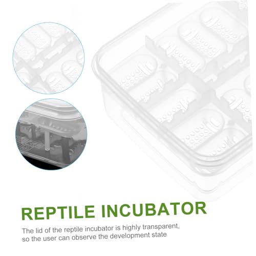 HEMOTON 2pcs Compartment Reptile Egg Incubation Tray Lightweight Breeding Box for Lizard Snake and Transparent Design for Easy Observation Reptile Supply