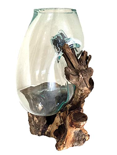 OMA Hand Blown Molten Glass on Driftwood Terrarium Vase or Planter – Recycled Glass & Natural Wood for Coastal & Boho Home Décor (12"–14" High) - size: 12" - 14" High