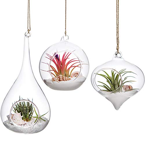 Mkono 3 Pack Air Plant Holder, Glass Hanging Planter Terrarium Globe Hanger | for Indoor Live Fern Succulent, Unique Display Jar,Home Office Christmas Holiday Decor,Plant Lover Gift,Airplant Excluded