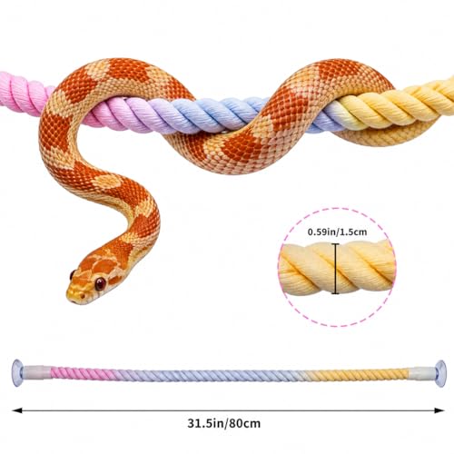 Snake Enrichment, Ball Python Tank Accessories, Gradient Climbing Decoration Rope with Suction Cups, Snake Climbing Accessories, Ball Python Enrichment - size: 80cm