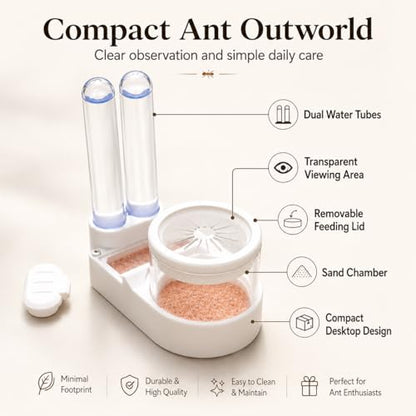Beginner Ant Nest with Foraging Area and Humidity Zone, Dry Wet Separation Plaster Chamber, Fits 15mm Test Tubes, for Small to Medium Ant Colonies