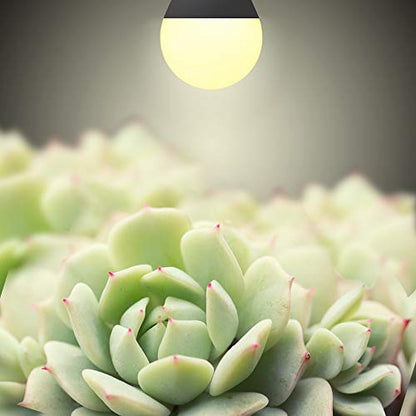 6 Pack LED Grow Light Bulbs，Full Spectrum Plant Light Bulb, 9W Replace 100W | 120V E26 Grow Bulb,Grow Light for Indoor Plants, Flowers, Greenhouse, Indore Garden, Hydroponic - size: 6 Count (Pack of 1)