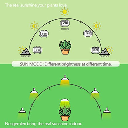 Smart Grow Light Bulbs for Indoor Plants, Programmable Timer and Dim | Full Spectrum Plant Grow Bulbs, Dimmable, 9W, E26/27, 4500K, Remote Control, Sun Mimics Mode, Daily Auto On/Off, 2Pack - size: 2 Pack
