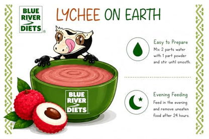 Blue River Diets Complete Crested Gecko Food | All-Natural Gecko Food Made in the UK | 70% Real Fruit | 2.1oz | 60g Lychee on Earth Flavor