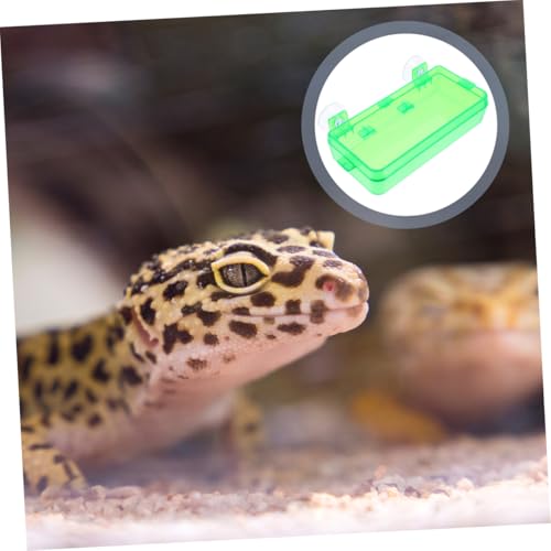HANABASS Reptile Feeding Dish Bowl with Suction Cup Dual-Purpose Food and Water Container for Chameleons Geckos Bearded Dragons and Lizards Escape Prevention Design Sturdy Material Green - color: Light Green, size: 13.50X6.50X3.50CM