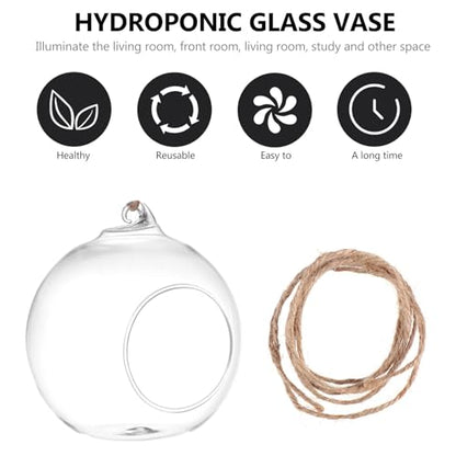 SUPVOX 6-Pack Hanging Glass Terrariums 4 Inch Orb Succulent Plant Holders with Rope for Indoor Outdoor Home Decor Tabletop and Wall Mounted Mini Garden Display