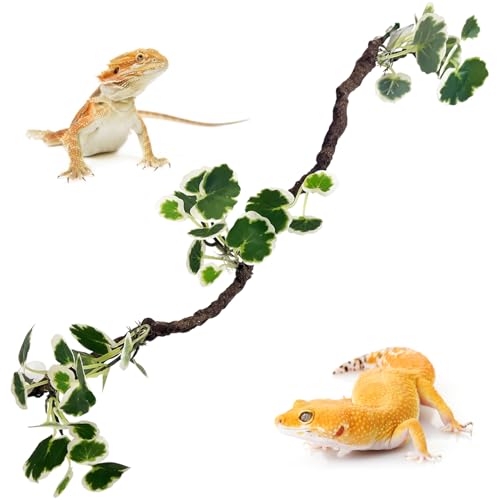 PINVNBY Flexible Bend-A-Branch Climbing Reptile Jungle Vines Snake Climbing Branch for Terrarium Plants Crested Gecko Tank Accessories for Leopard Gecko Lizard Chameleon Frog (Green)