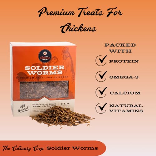 Fluker's Culinary Coop Bulk Dried Soldierworms, Premium Organic Dried Soldierworms for Chickens-High Protein & Omega3 Chicken Feed for Wild Birds, Reptile,& Chicken Treats for Laying Hens, 5lbs - size: 5 pound (Pack of 1)